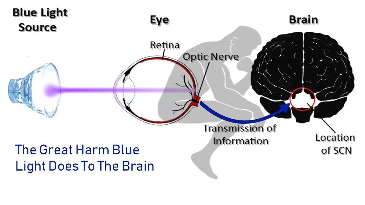 How does blue light affect your brain? IrisTech