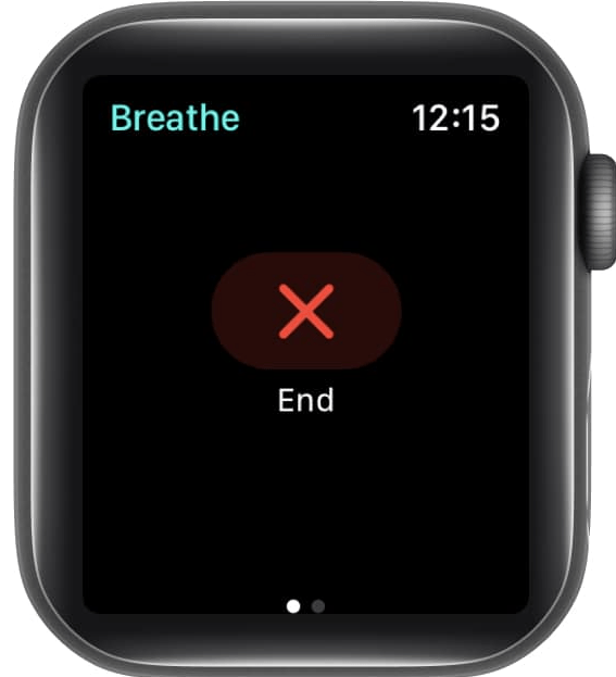 Breathing Labs How to Monitor HRV on Apple Watch