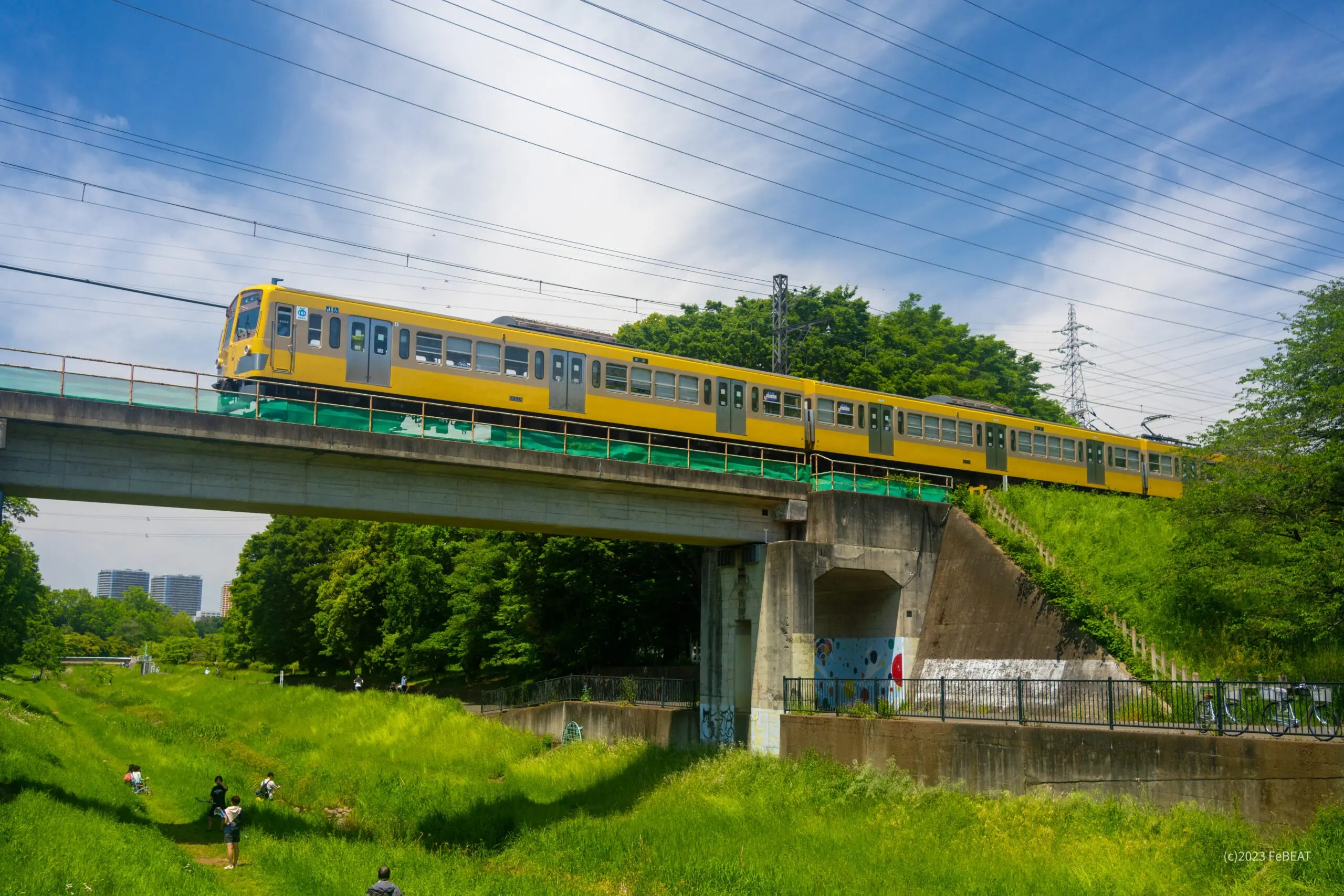 西武多摩川線 春の風景 初夏の野川 いろどりの鉄道風景