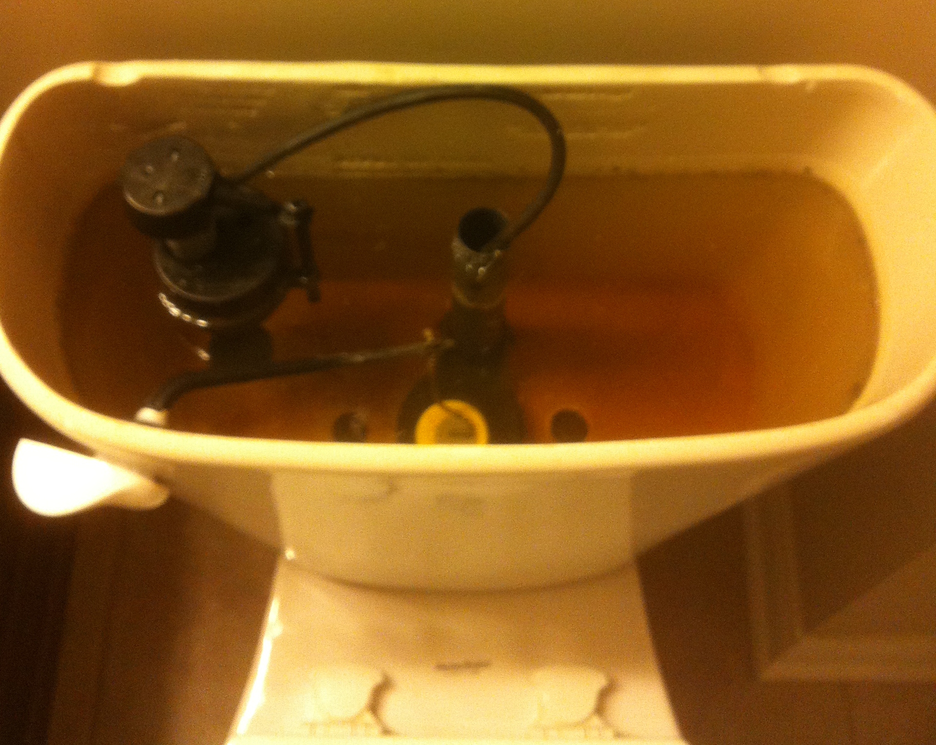 iron in water chemical elements