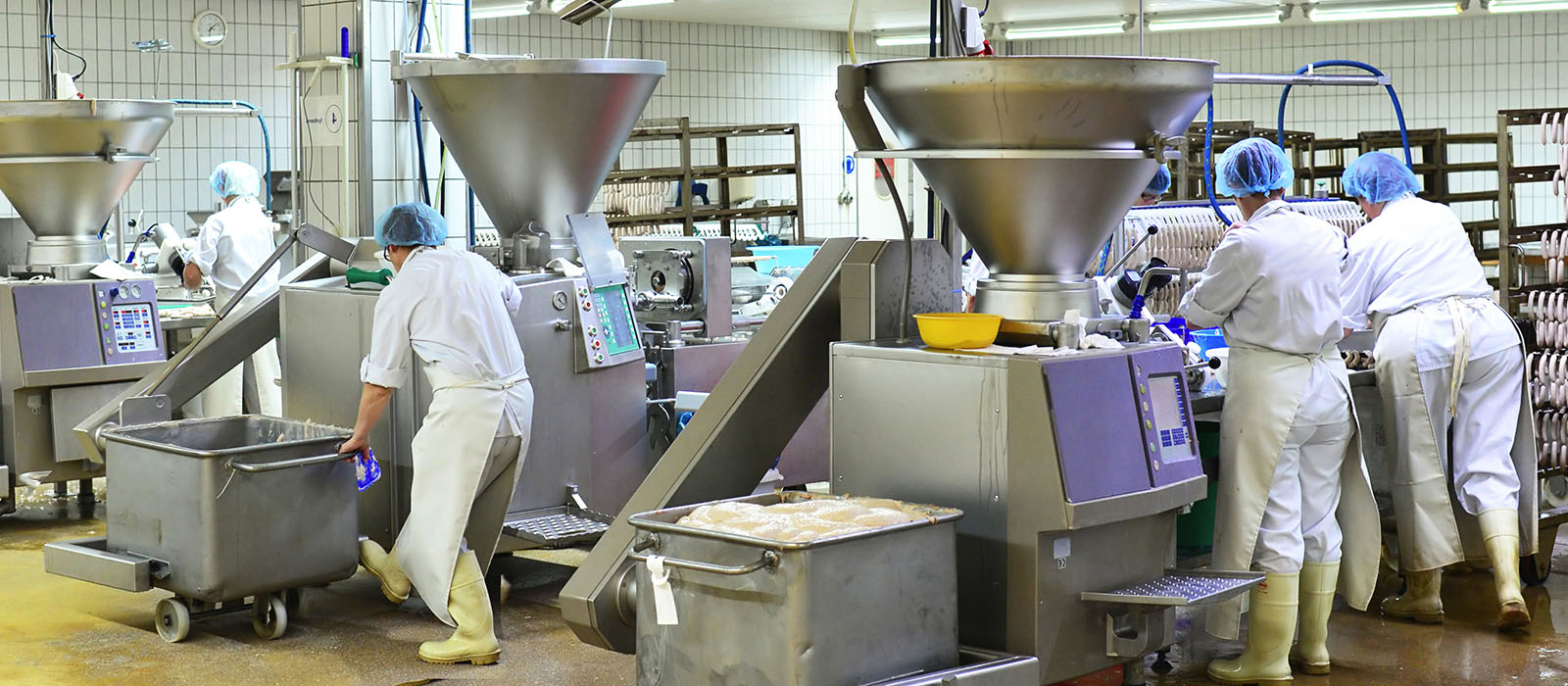 Food Safety for Food Manufacturing and Processing Iron Apple QMS