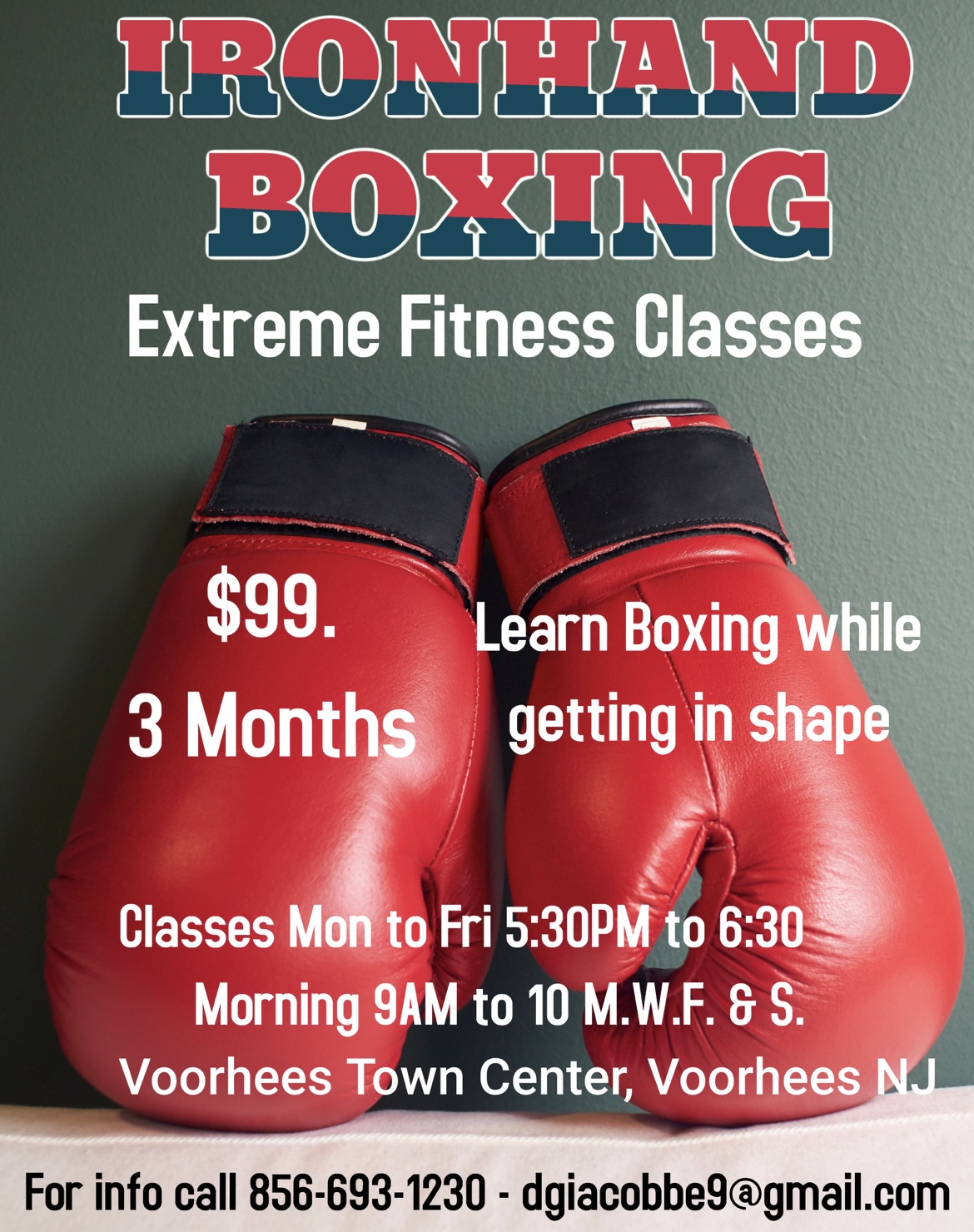 Boxing Ironhand Boxing, Karate and Sports Fitness Voorhees Township, NJ