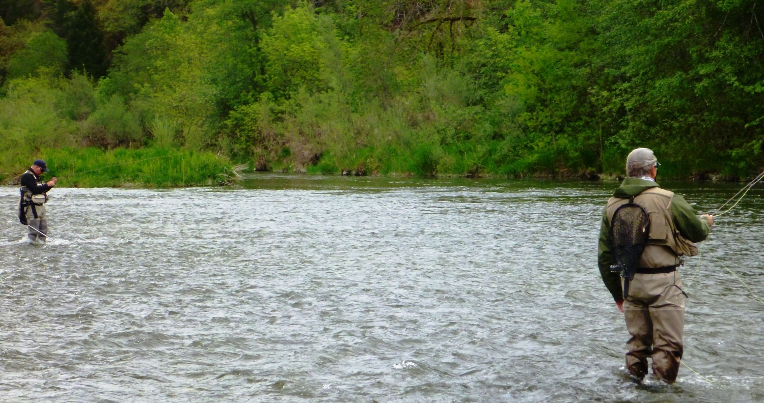 Umpqua River Fly Fishing Guide Ironhead Guide Service