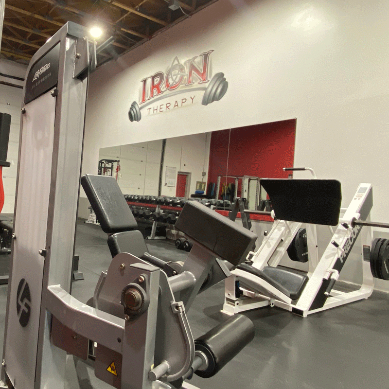 The Gym Iron Therapy YQR