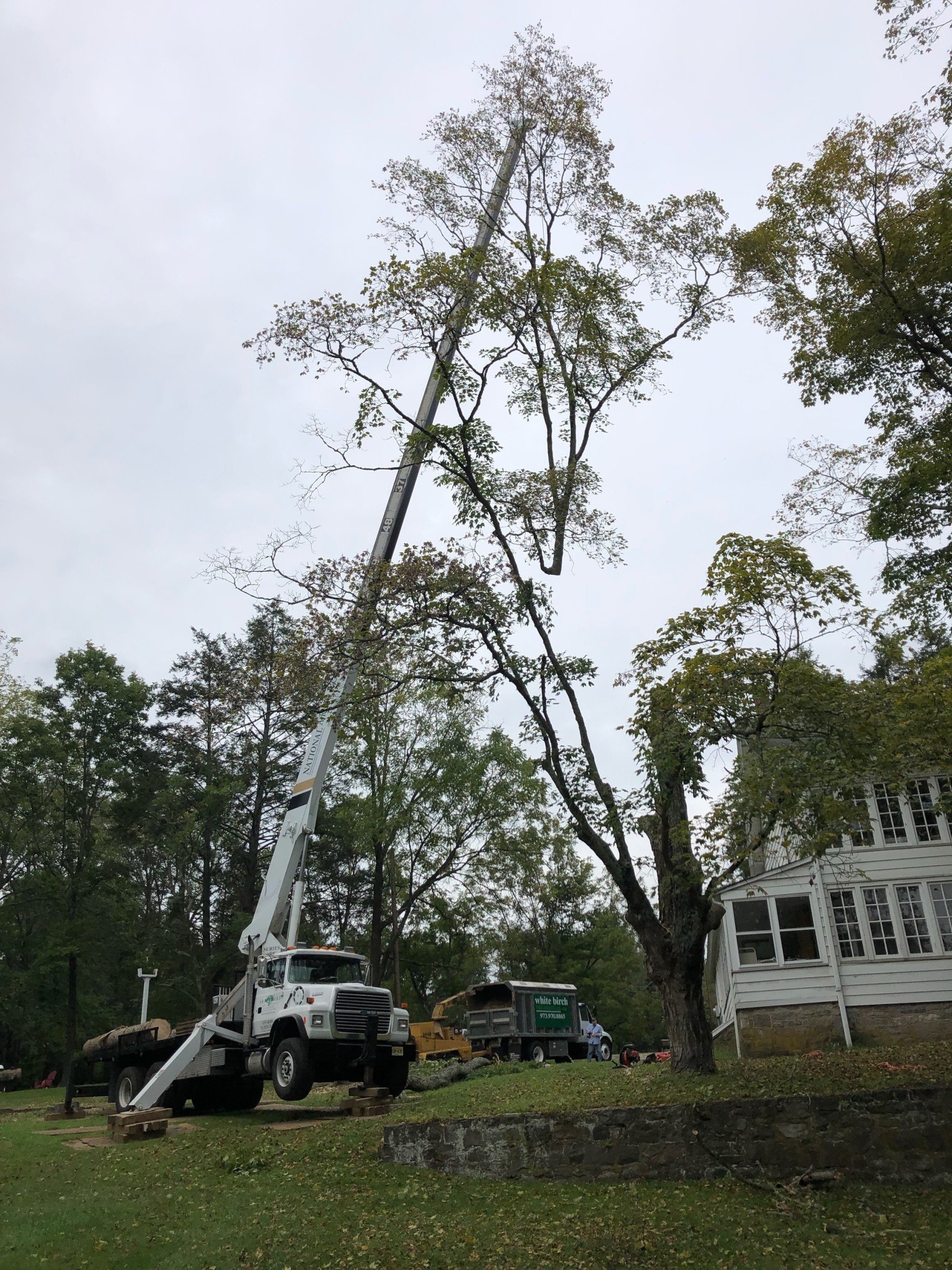 Come to Us for Tree Removal Sparta, NJ Arborcare Tree Service