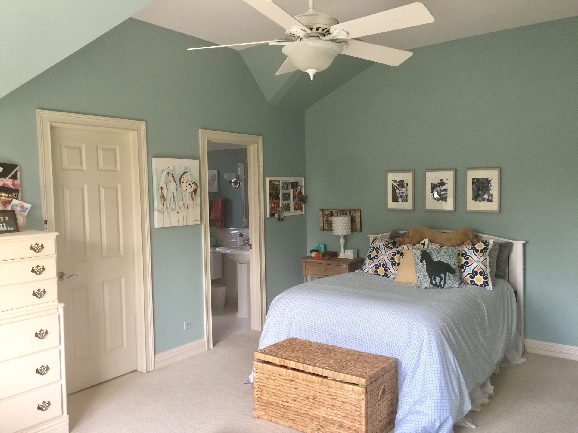 PaintRight Painting Inc. Naperville IL Painting Company
