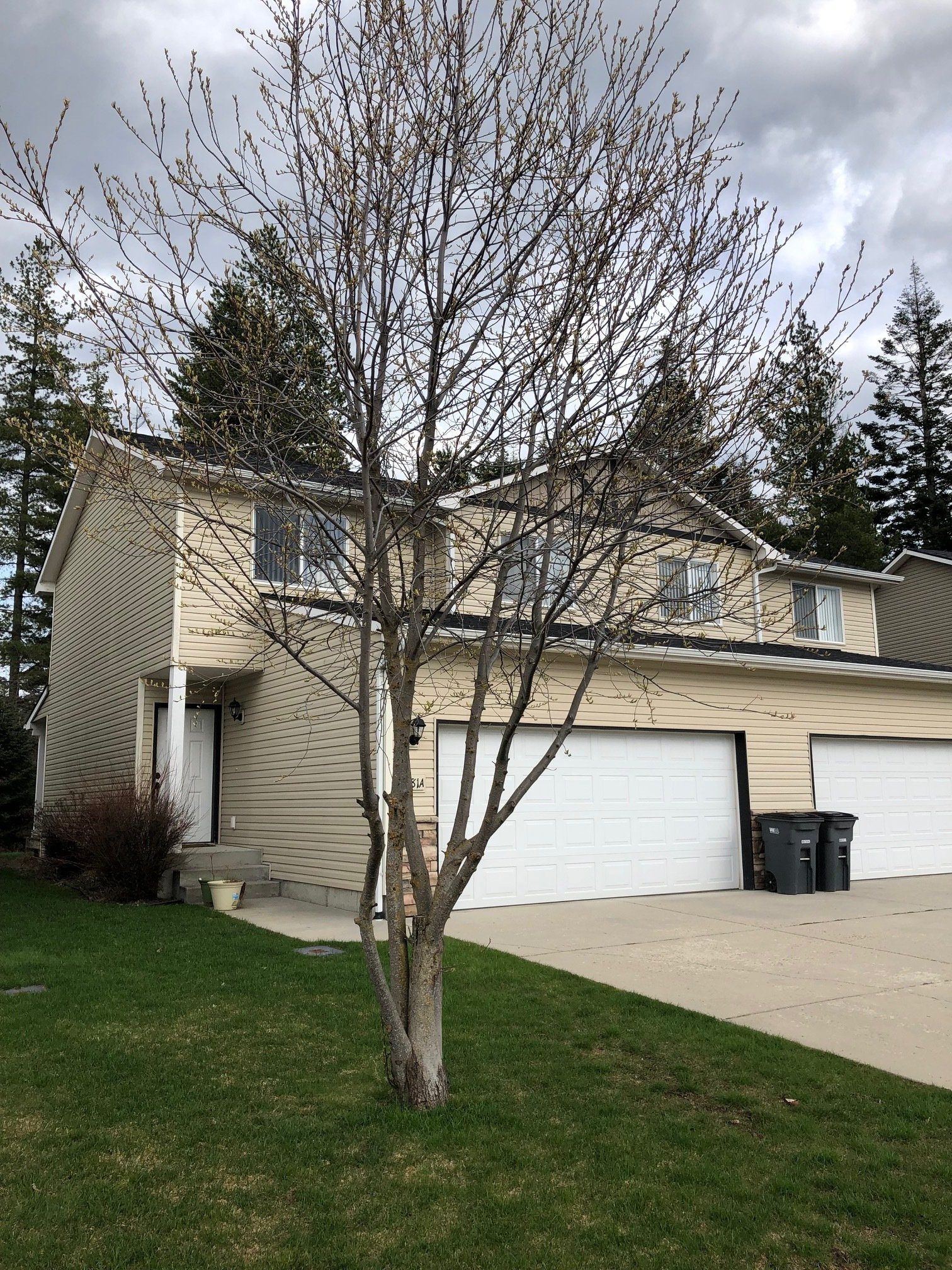 Mountain View Duplexes