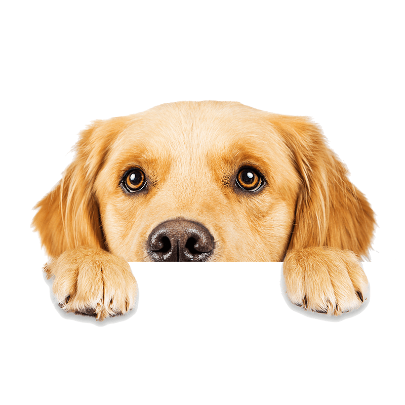 Jasper Pet Clinic Veterinarian Jasper, IN