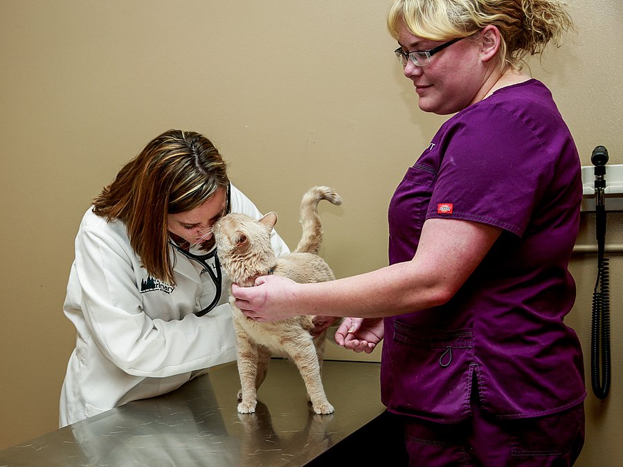 Dakota Hills Veterinary Clinic