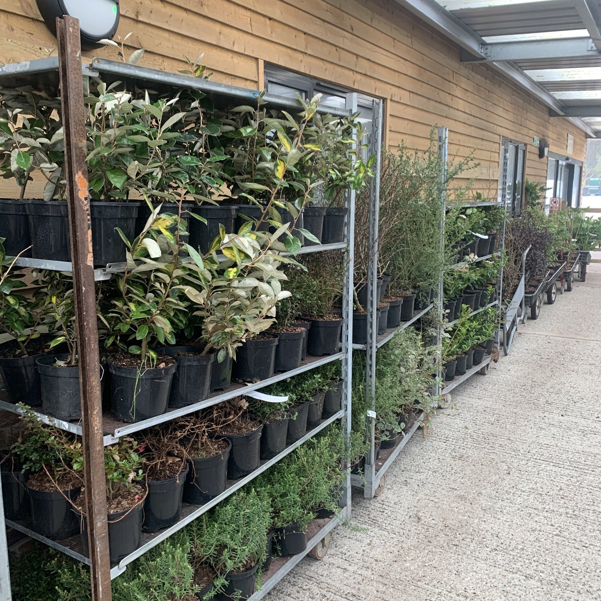 Notice Board Newport, Isle of Wight Forest View Nursery