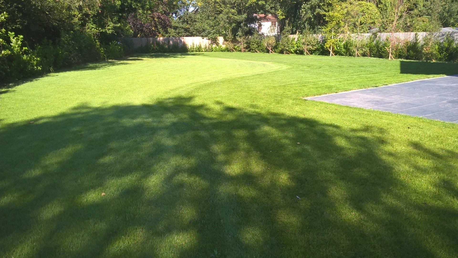 Lawn Care Norwich, Norfolk Green Turf Solutions