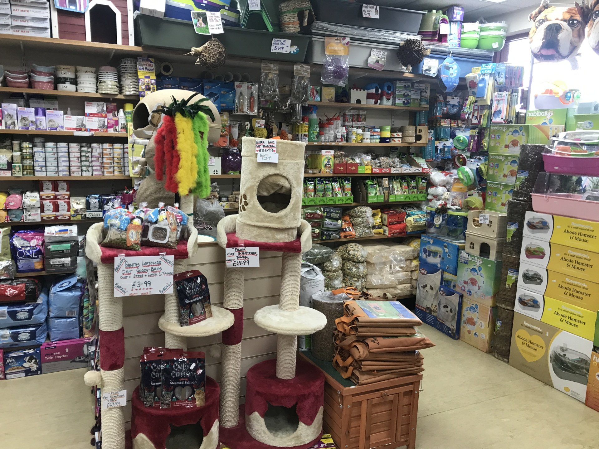 Pet store Troon Pets & Aquaria