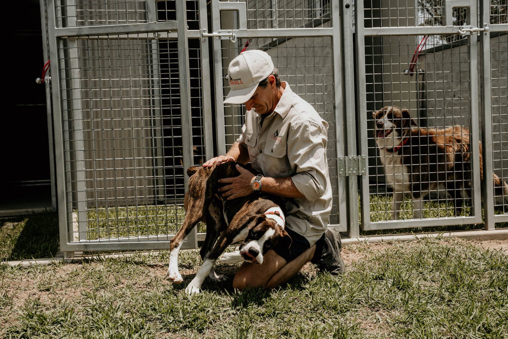 Gallery Furhill Pet Boarding