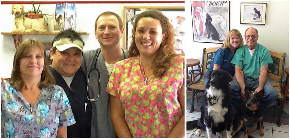 About Our Animal Clinic Abilene Animal Hospital Abilene, TX