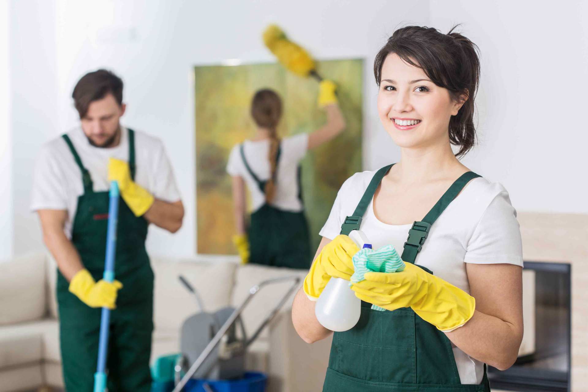 Green Cleaning Products Raleigh, NC Globalize Services