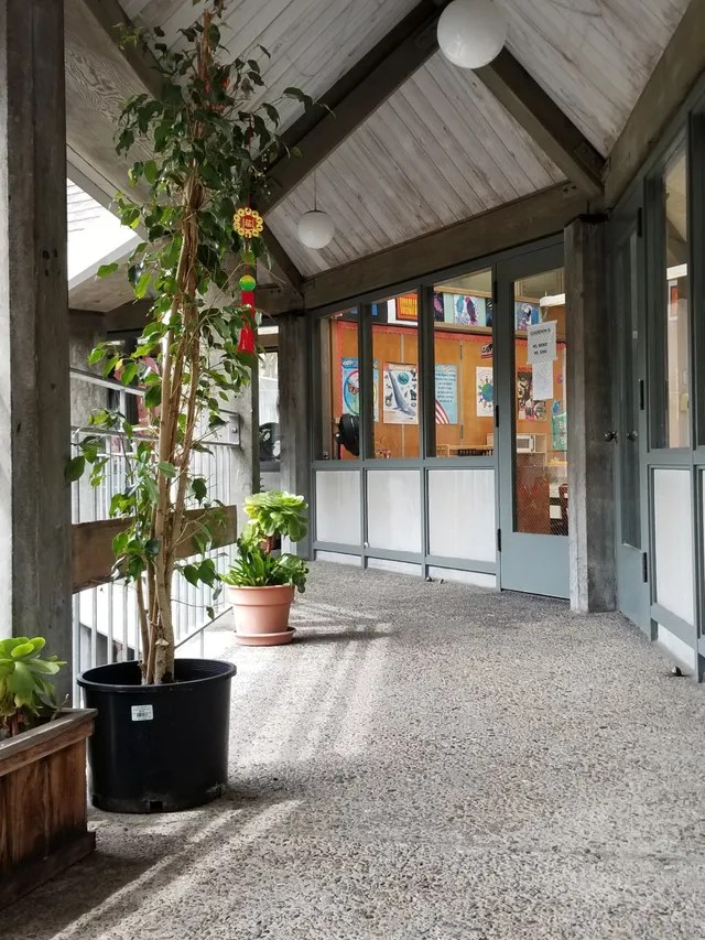 Montessori School San Francisco, CA Education Day Care