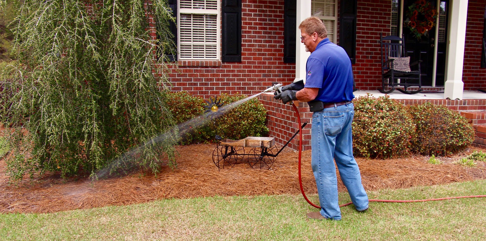 Pest Control Fayetteville, Hope Mills, Raeford & Aberdeen, NC