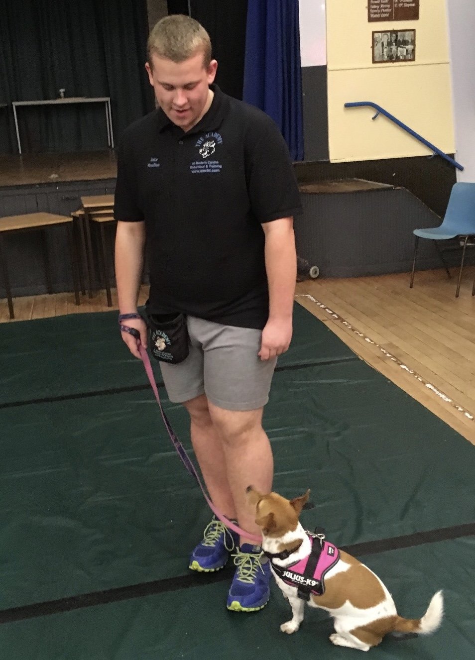 We do Dog Training Instructor Courses & canine behaviour courses in