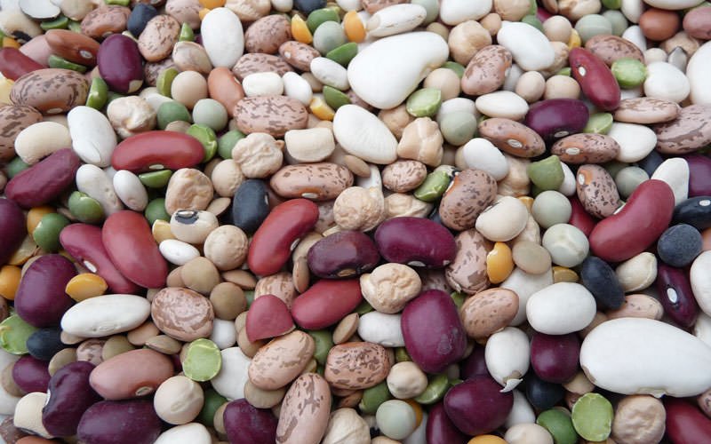 Food Wholesalers Miami Frozen Food and Grocery Distributors Meat