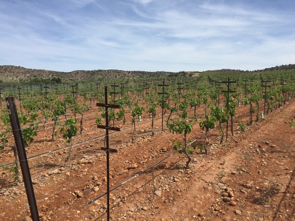 Discover Sedona Rentals & Property Management, Inc.