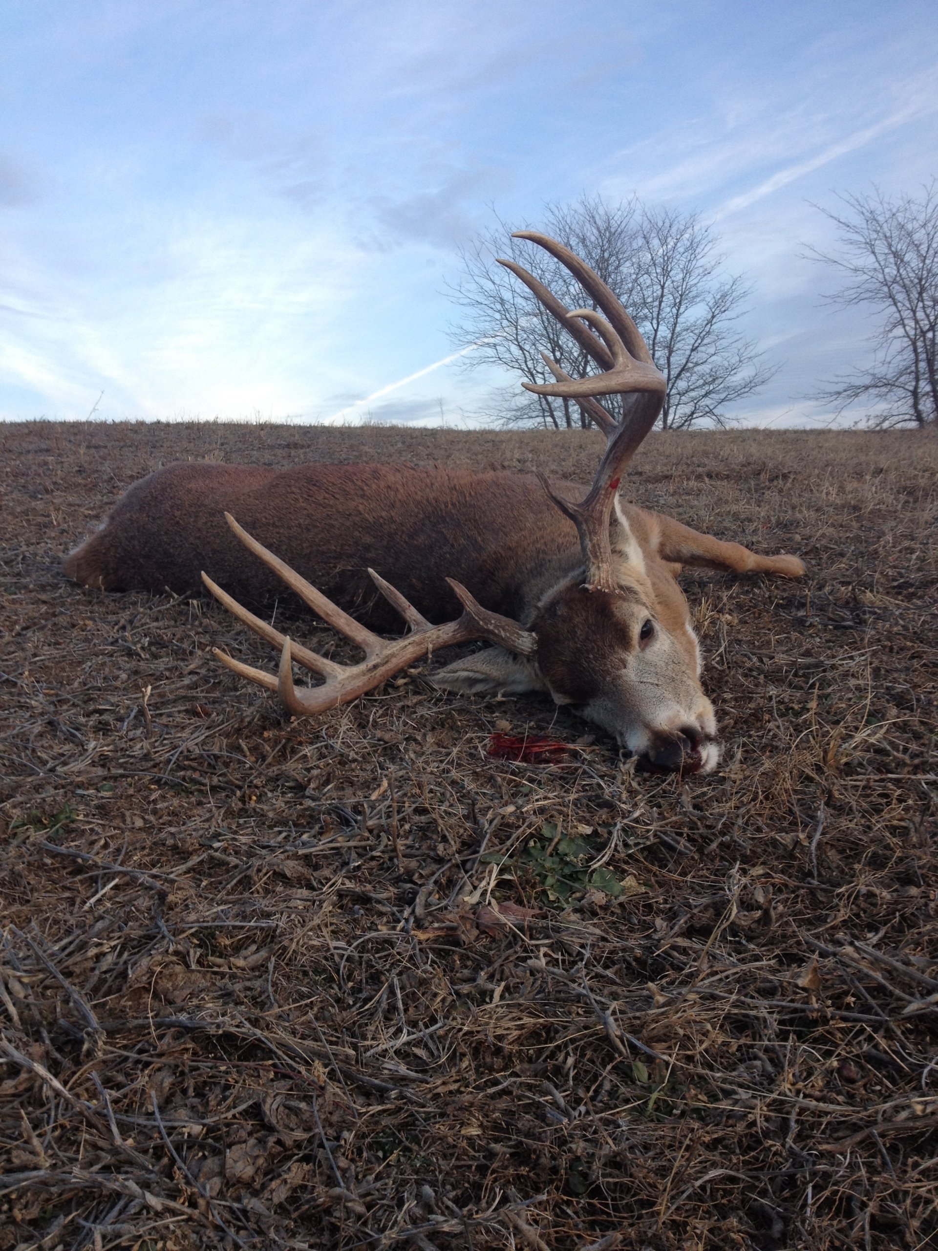 Iowa Deer hunting Zone 4, Iowa Deer Hunting Zone 5