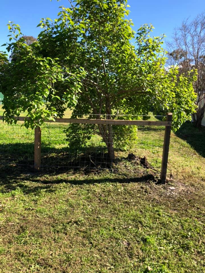 Rural Fencing in Taree D & B Fencing