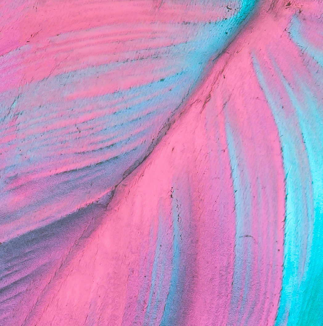 Modern Coffee Café Moderno LLC.