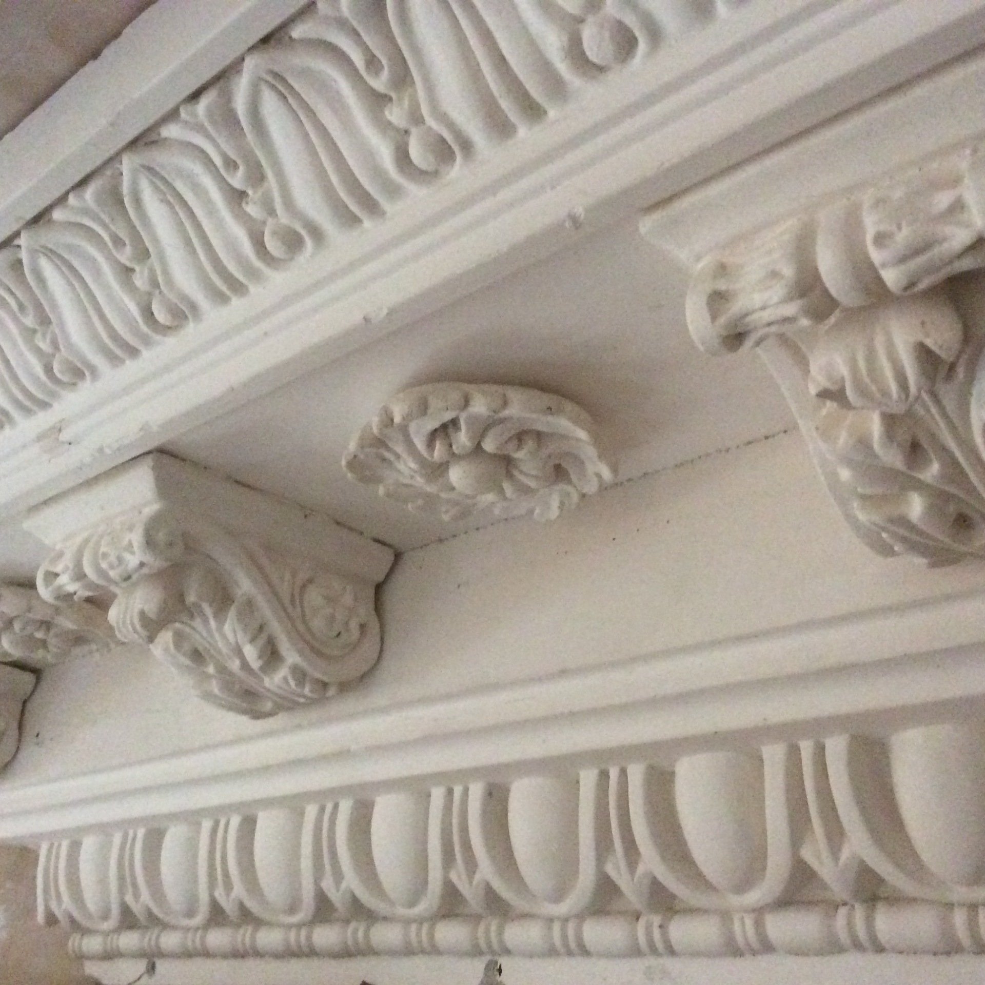 Ornate coving experts in Plymouth