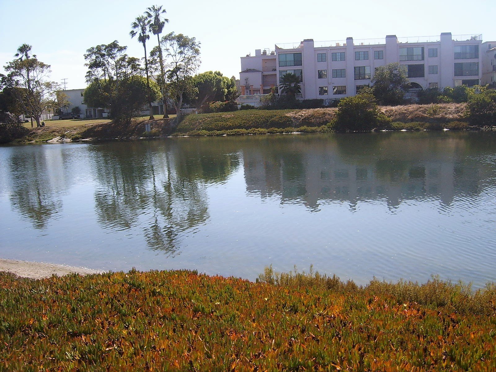 Laguna Del Rey Apartments Gallery