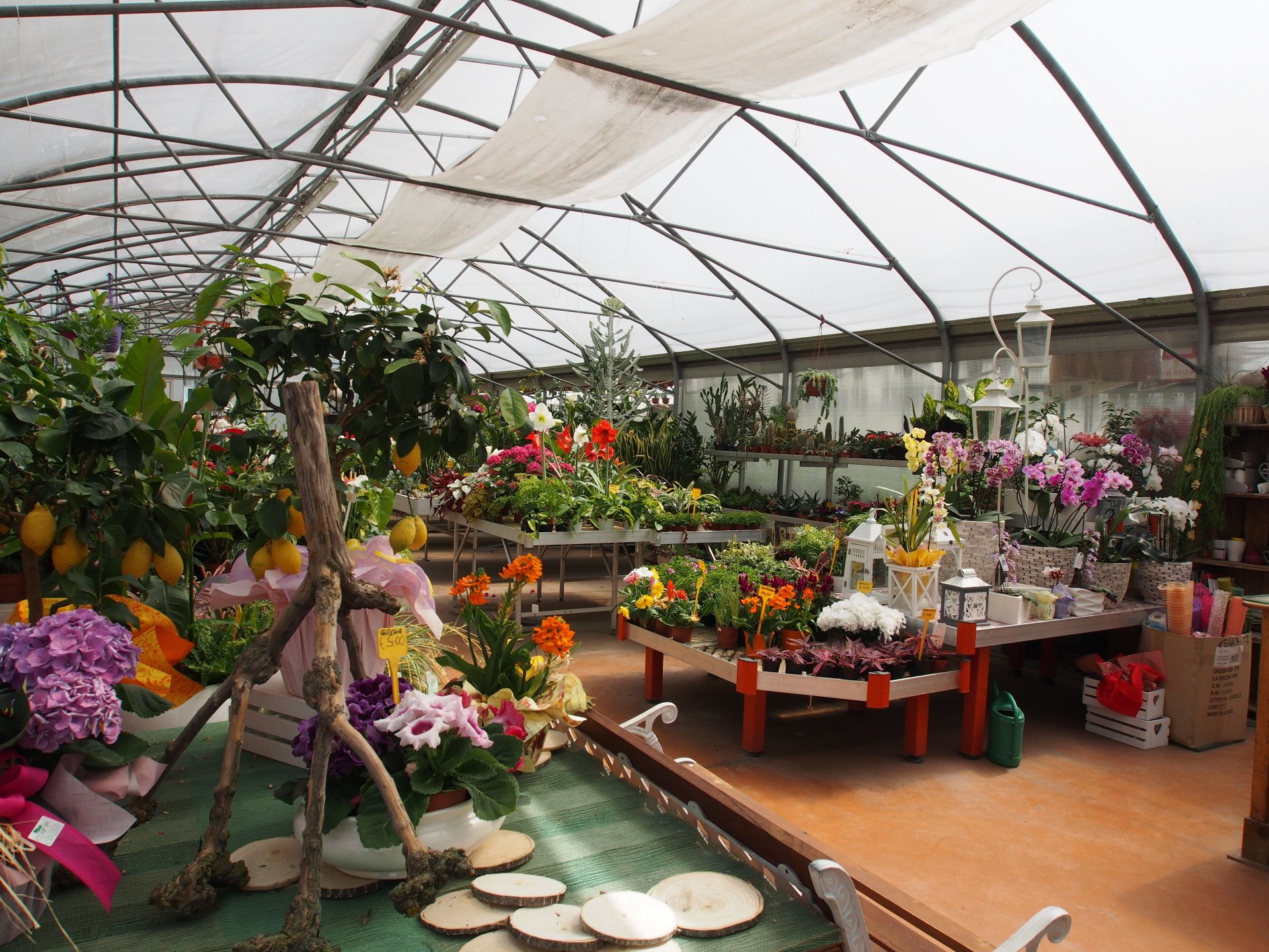 ripristino giardini e strade San Fior Conegliano Treviso Frank