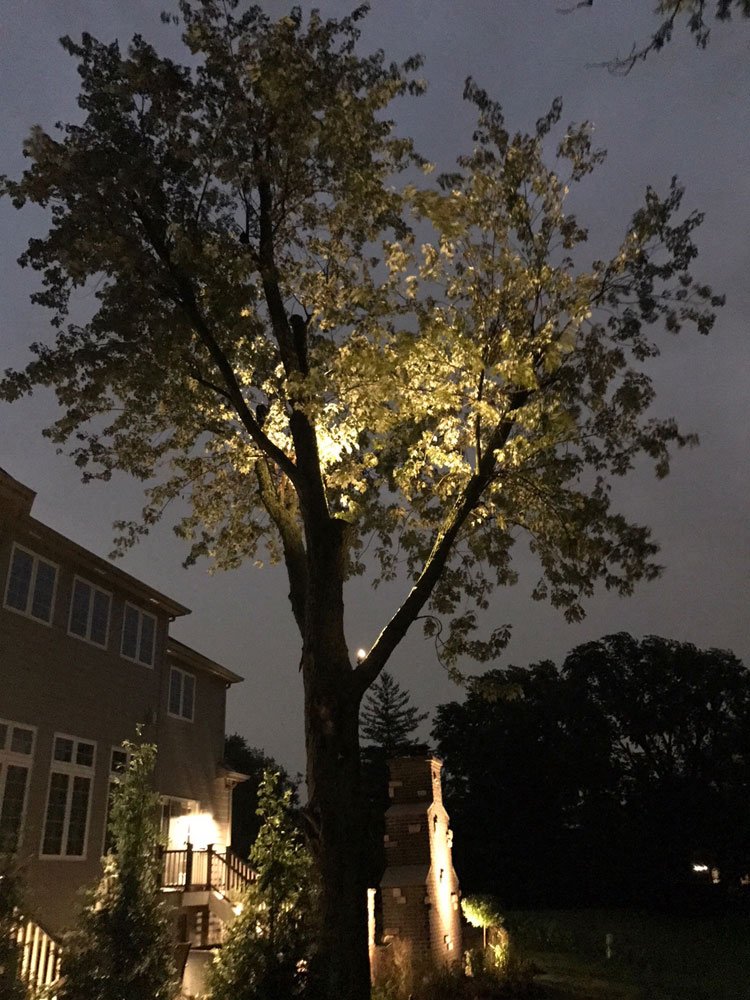 Lighting Design Naperville, IL Morlock Landscaping & Design