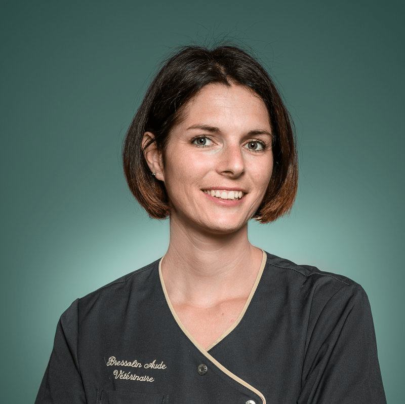 Equipe vétérinaire dédiée aux chats et aux lapins