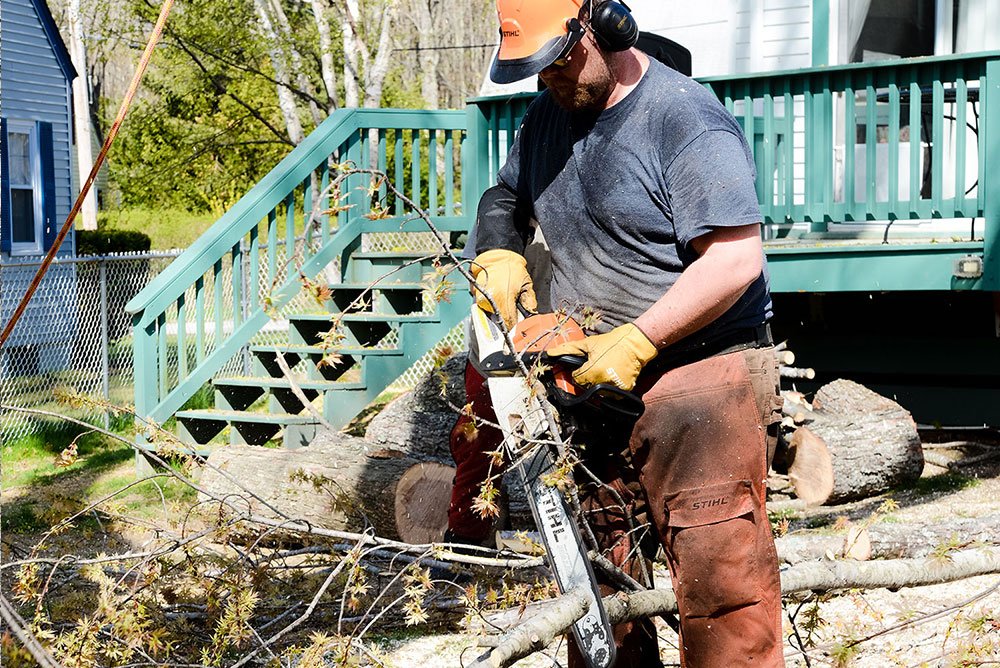 Tree Removal & Service Portland, ME; South Portland, ME; & Falmouth