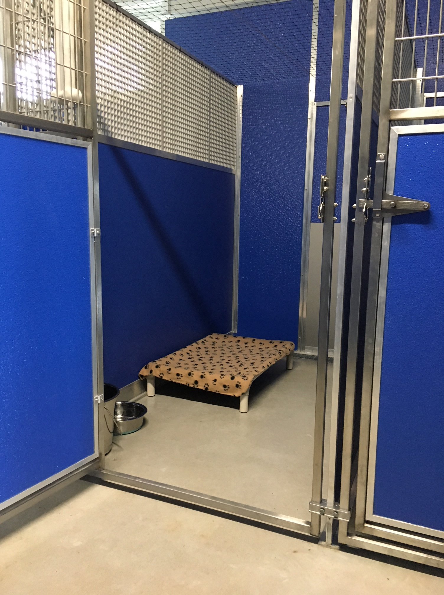 Dog Boarding & Daycare in Lake Macquarie Hunter Dog Centre