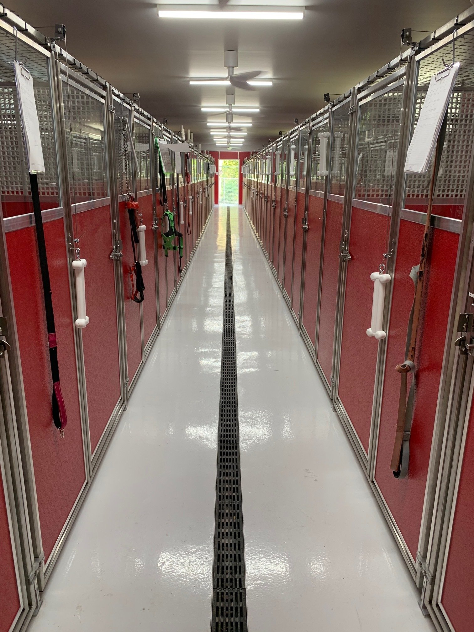 Dog Boarding & Daycare in Lake Macquarie, Newcastle Hunter Dog Centre