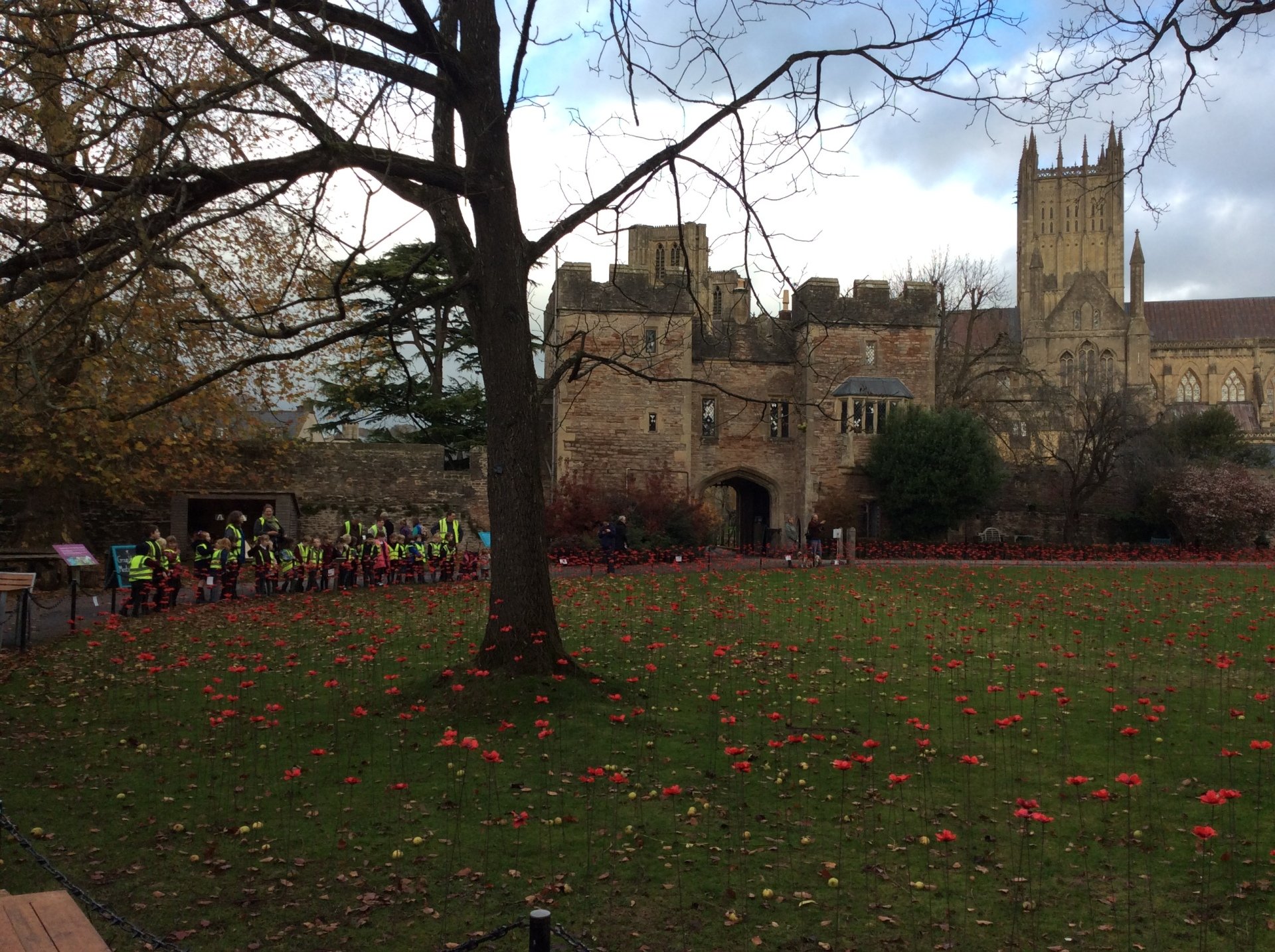 St Cuthbert's Infant School Wells Celebrations