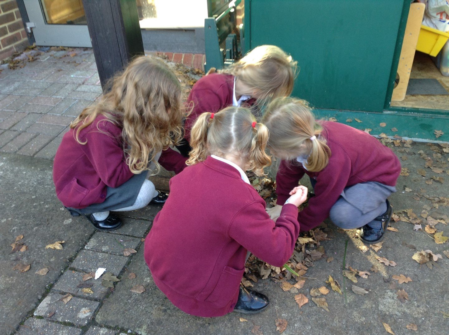 St Cuthbert's Infant School Wells Gallery