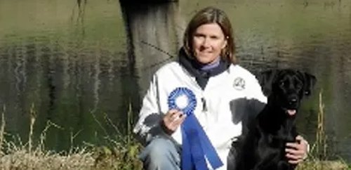 About Animal Hospital Snellville, GA Brookwood Animal Hospital