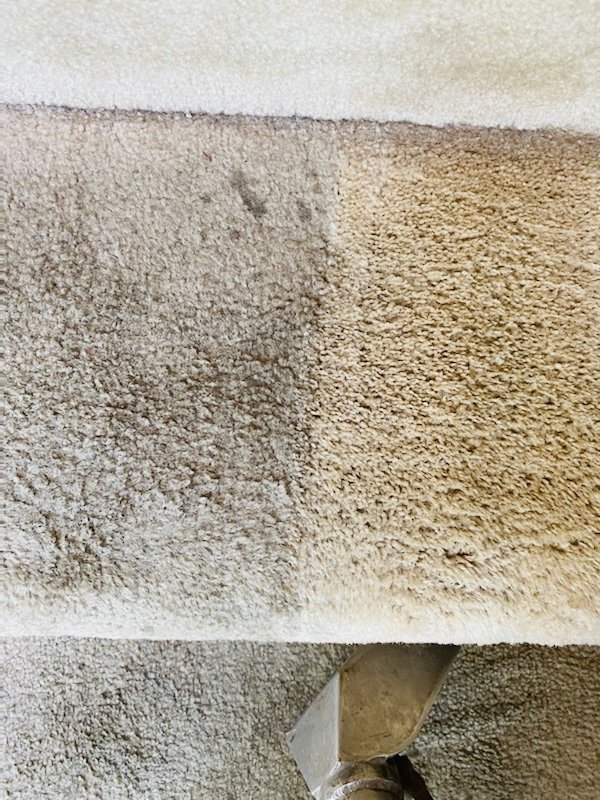 Carpet Cleaning Services South Bend, IN Crimmins Carpet Services