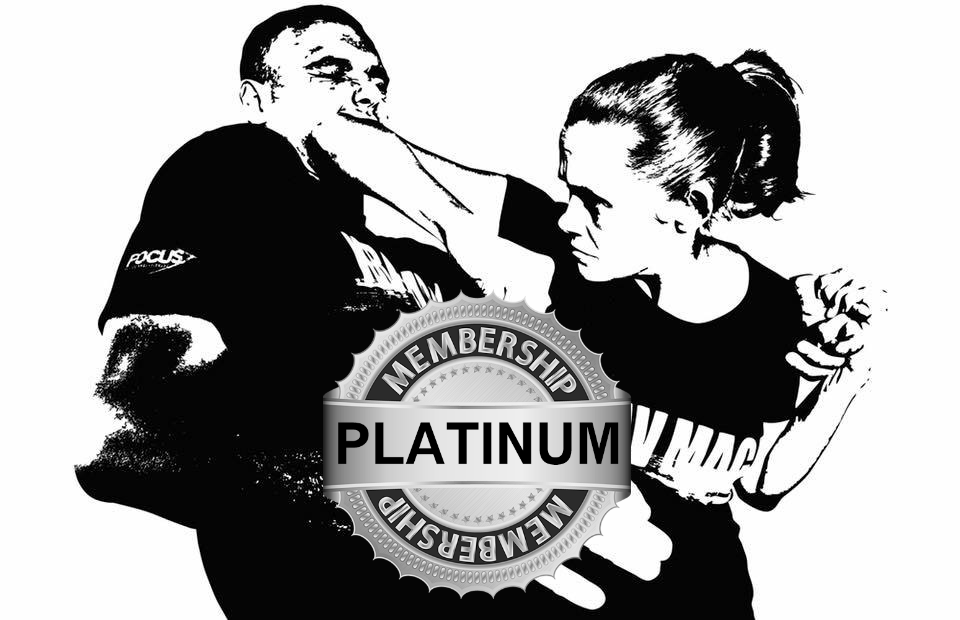 Krav Maga Academy Dublin Learn SelfDefence Beginner