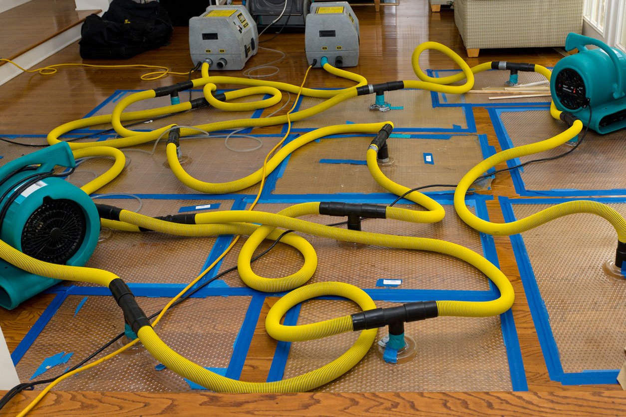 Industry One, Inc. Jacksonville, NC Carpet Cleaning