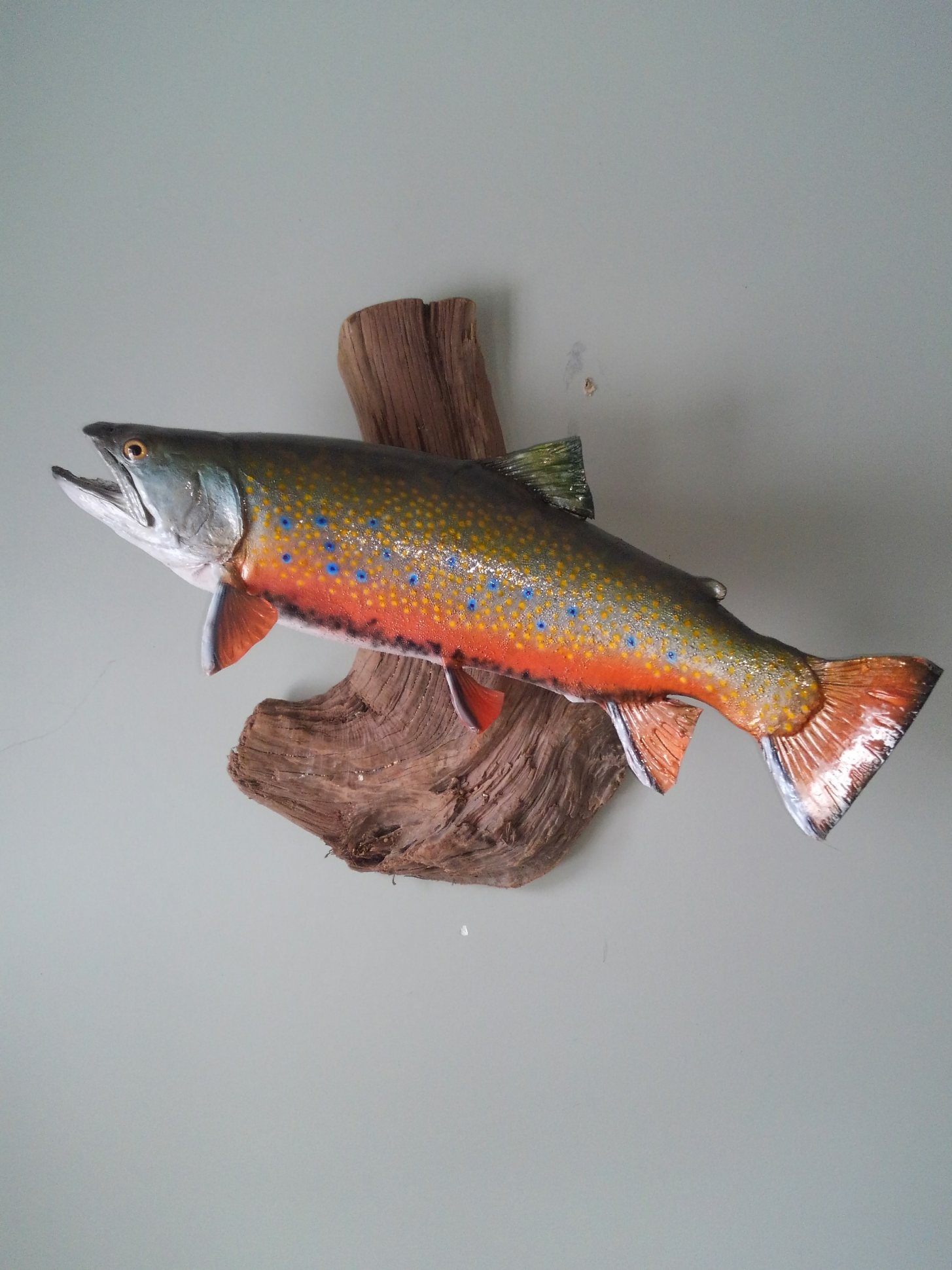 Taxidermy Services Lowville, NY Wilderness Walt's Taxidermy