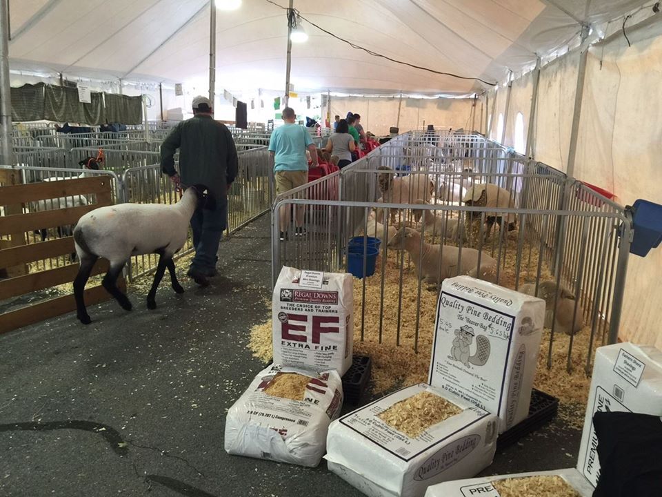 Pet Products l Ephrata, PA l Ephrata Agway