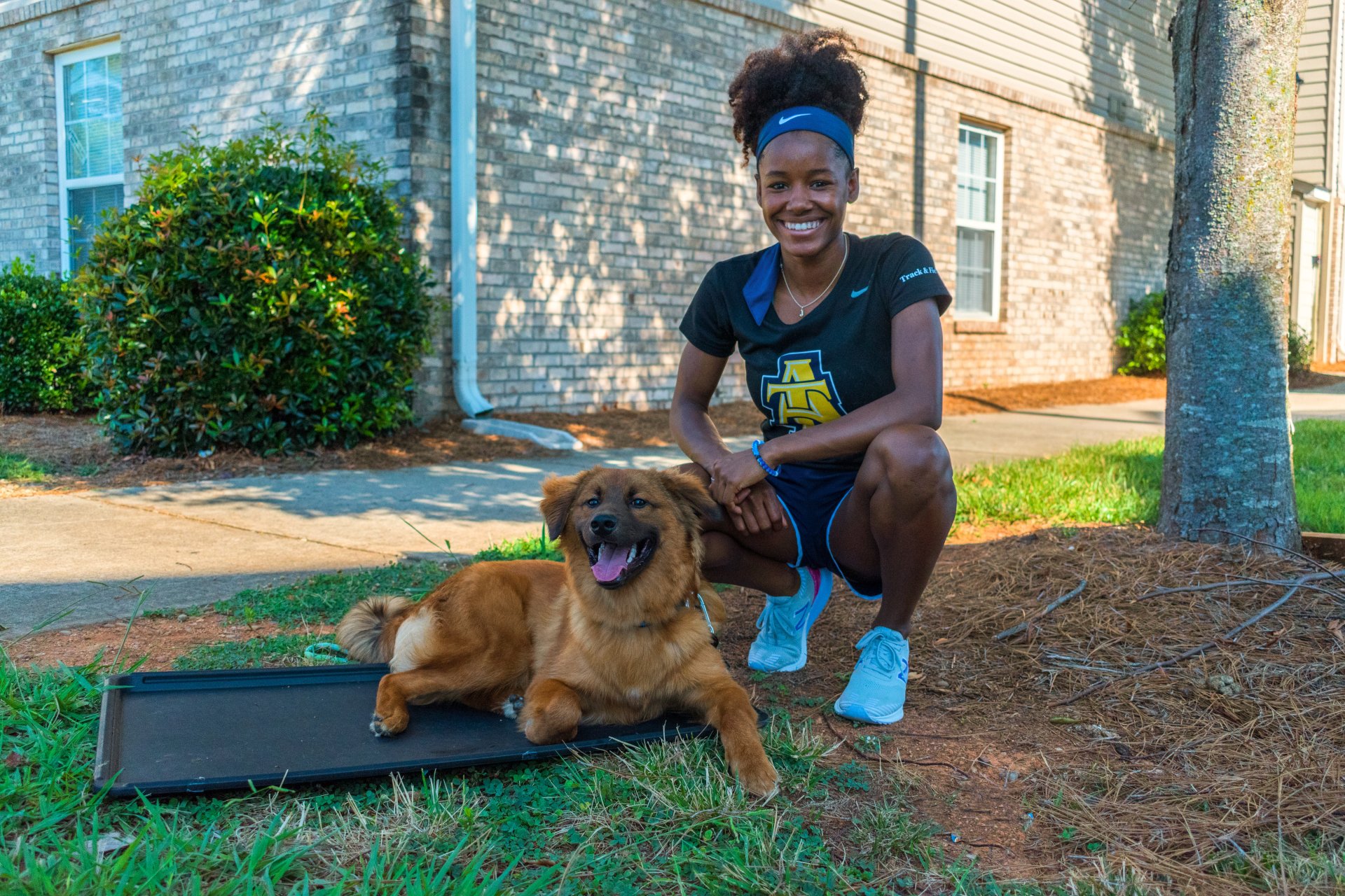 Local Dog Training Raleigh, North Carolina Pawfect K9 Services