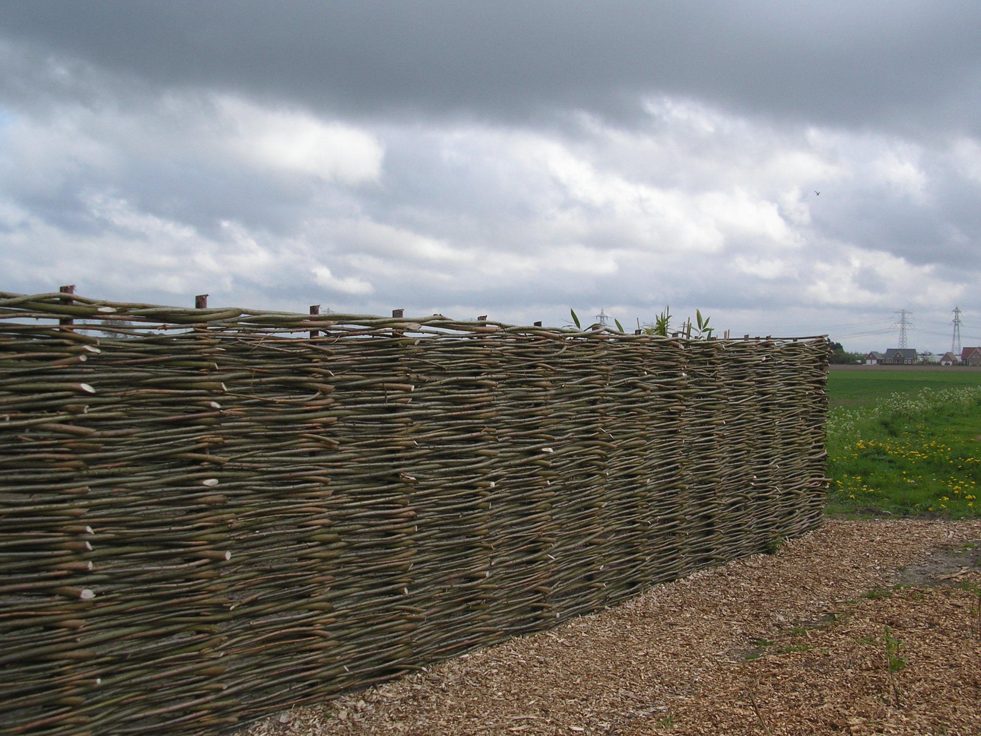 Het verschil tussen een wilgenschutting, wilgenscherm en een wilgenmat