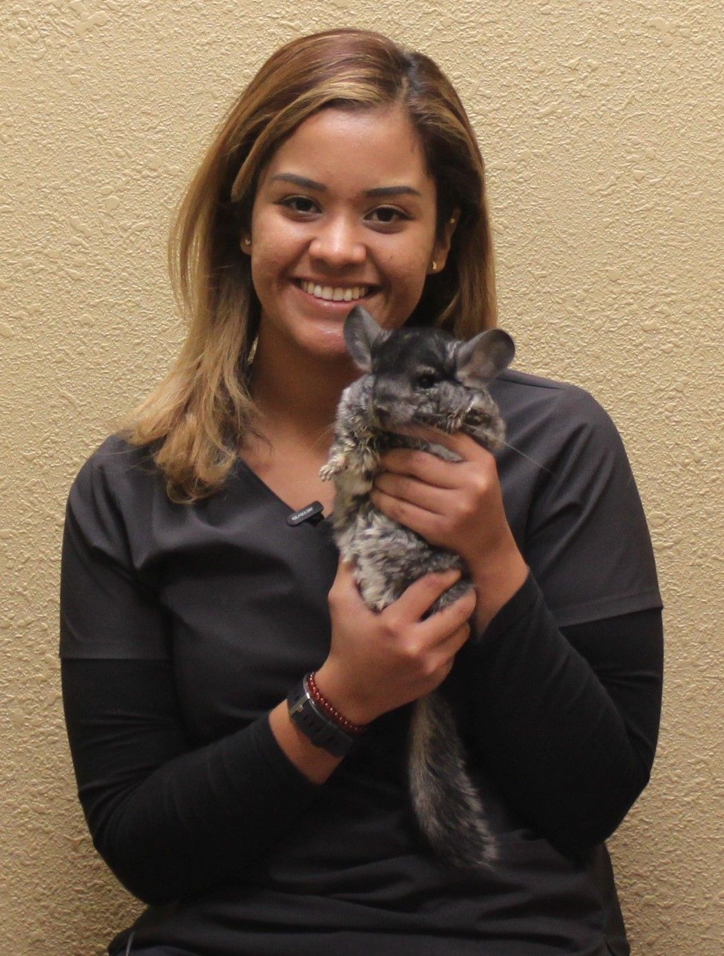 Aloha Animal Hospital