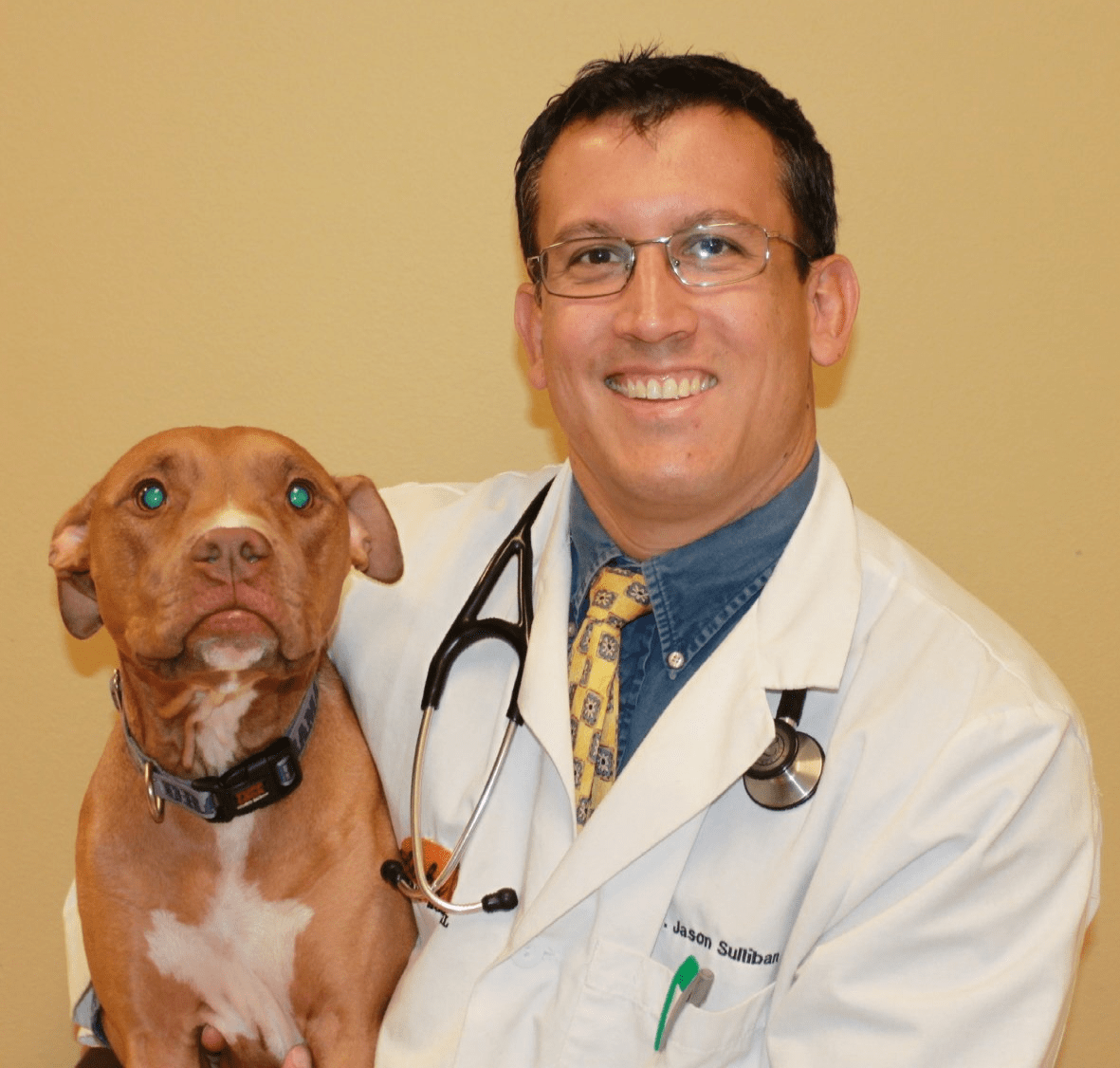 Our Veterinarians Aloha Animal Hospital