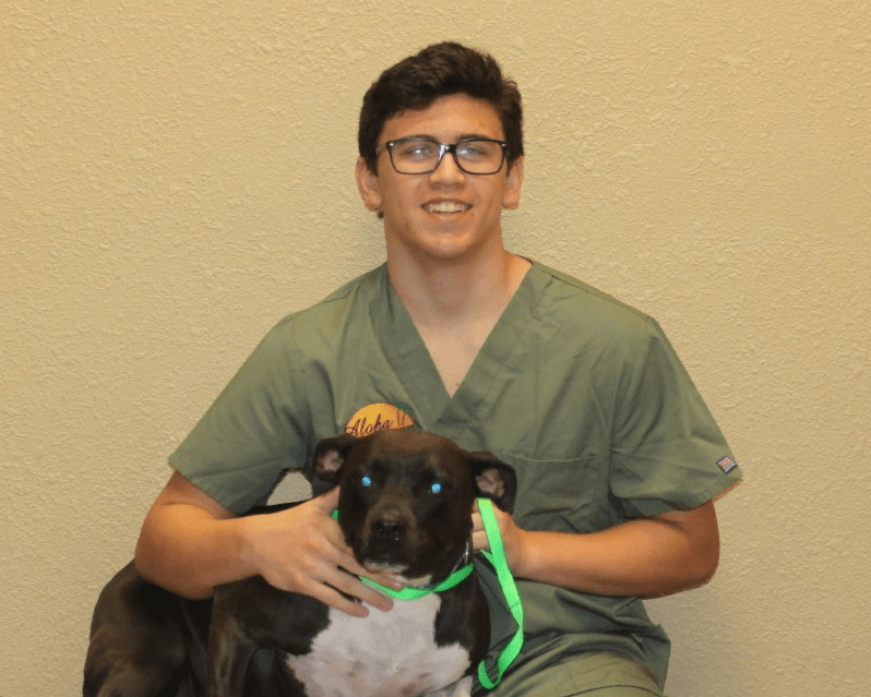 Aloha Animal Hospital