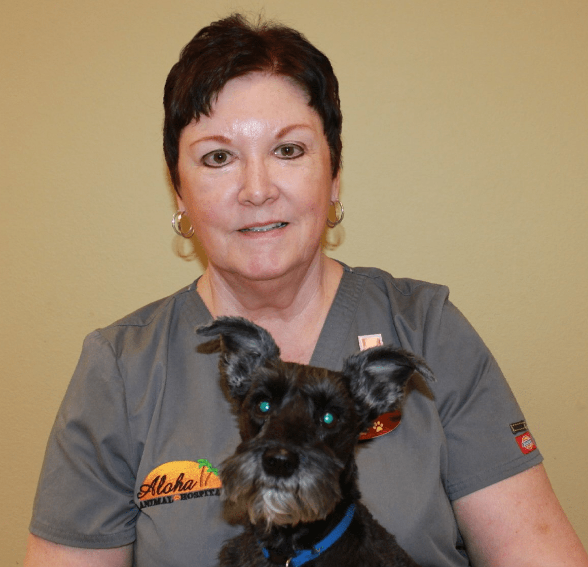 Aloha Animal Hospital