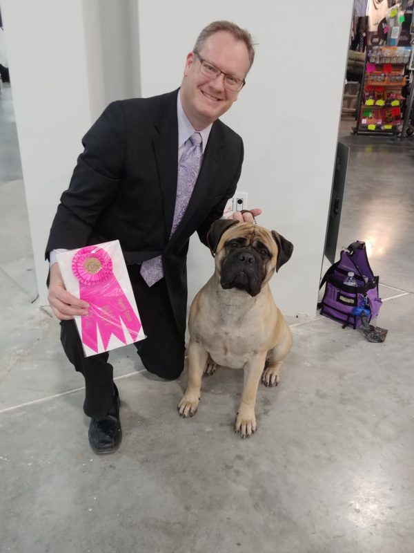 Free Dog Training Consultation Premier Pack Dog Training Canton MI